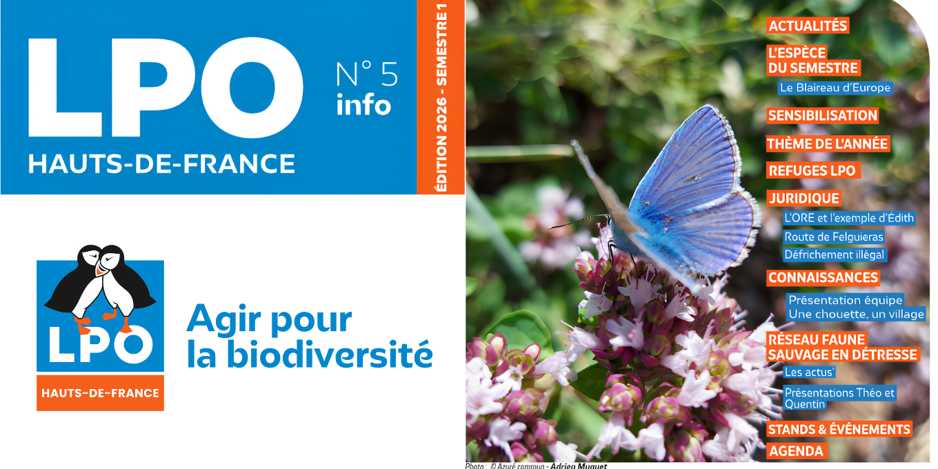 Connaissez-vous notre LPO Info ?